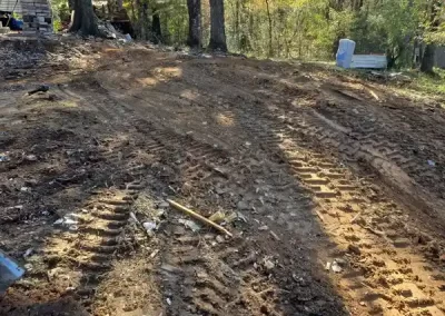 Professional Yard Waste Removal
