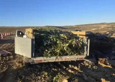Reliable Junk Haulers