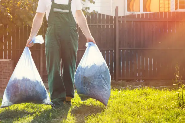 What to Expect from a Professional Yard Cleanup Service Thorsby AL